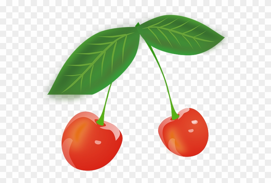 Cherry, Fruits, Red, Berries, Leaves - Png Cartoon Cherries Clipart