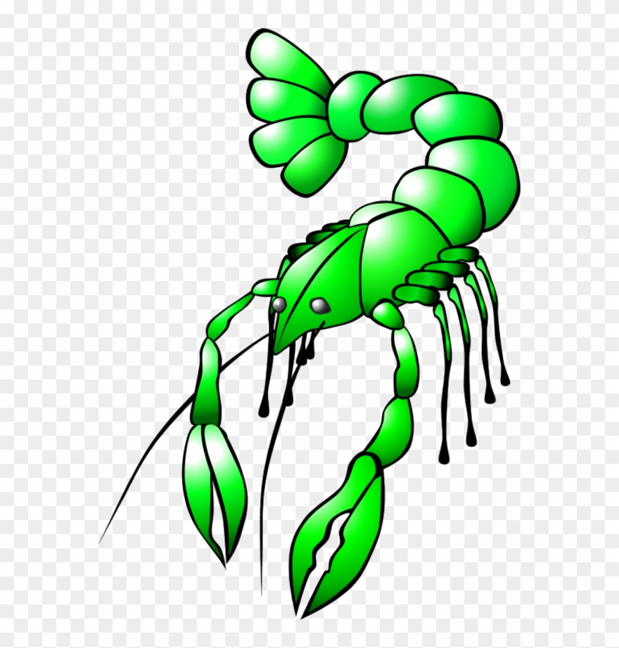 Vector Clip Art - Crawfish Clip Art - Png Download