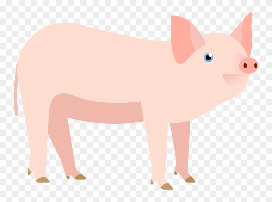 Domestic Pig Clipart