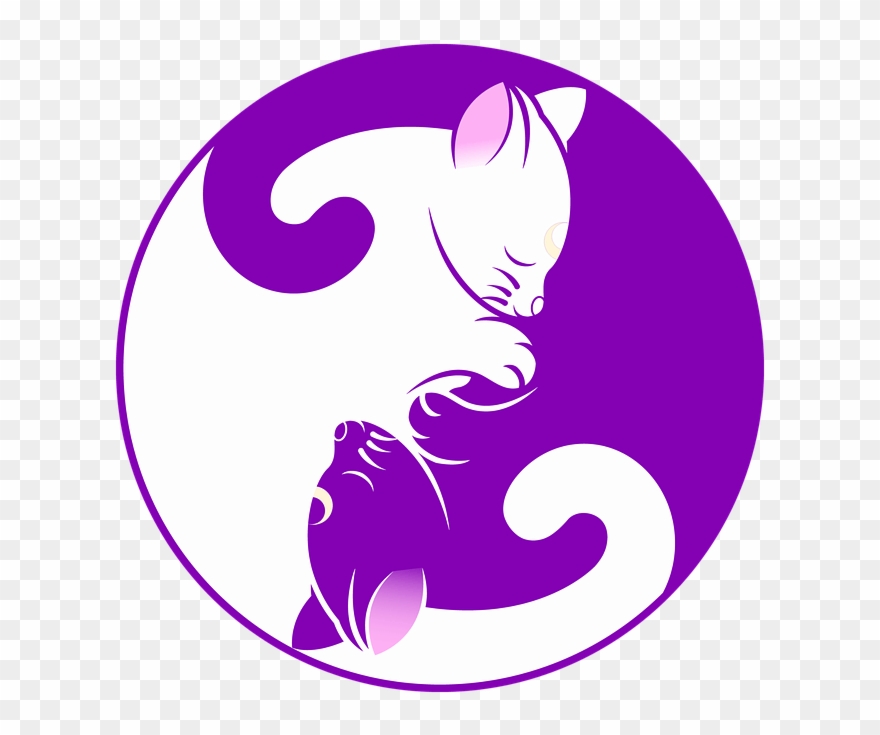 How To Keep Cats Happy And Healthy - Luna Artemis Yin Yang Clipart