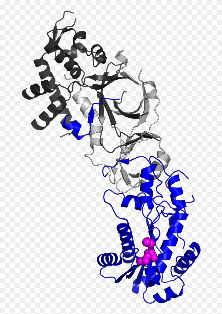 3puf Highlight Subunit A - Aicardi Syndrome Clipart