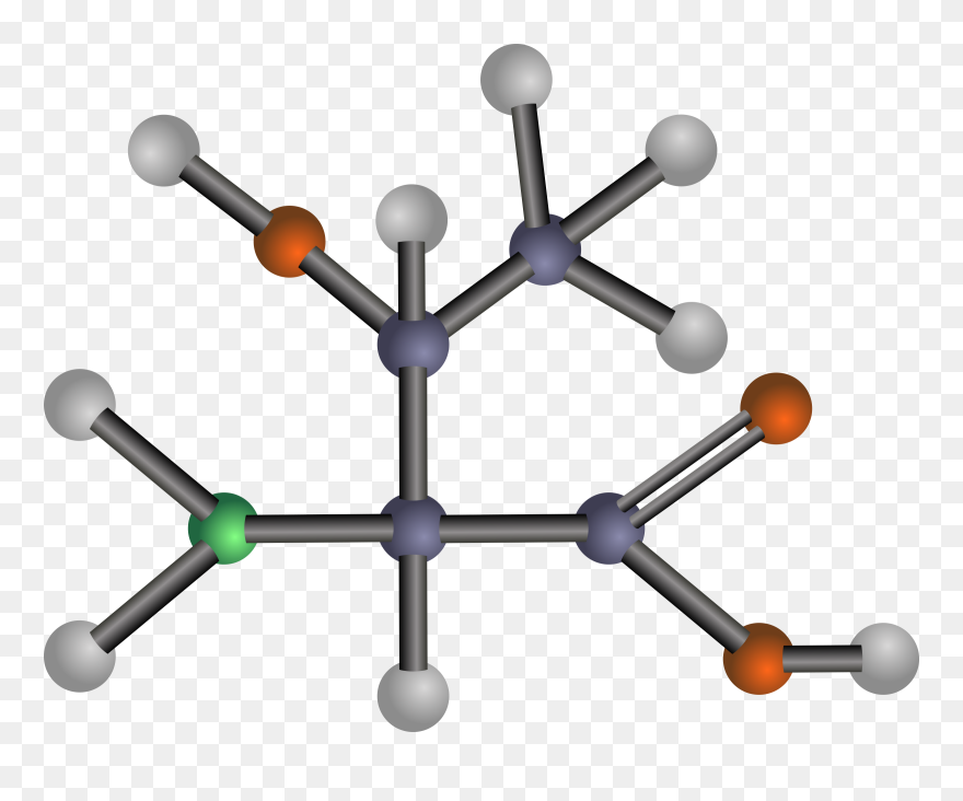 All Photo Png Clipart - Amino Acids: Biochemistry And Applications Transparent Png