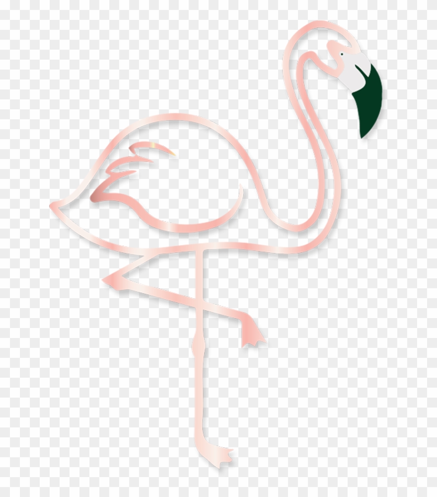 Twitter Facebook Snapchat Instagram Whatsapp - Greater Flamingo Clipart
