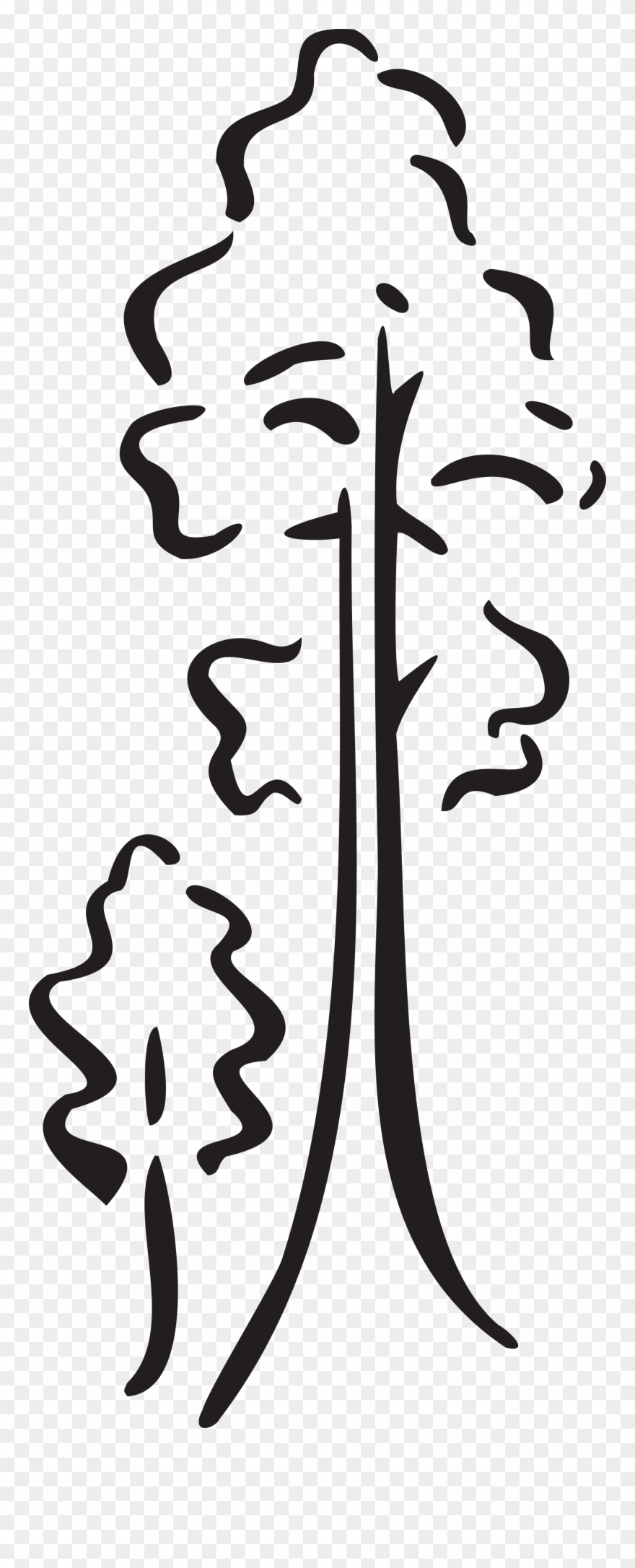 Trees-e1494856844675 - - Trees Clip Art - Png Download