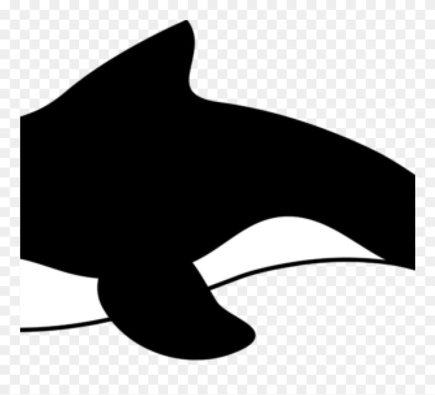Orca Whale Clip Art Orca Whale Clipart All Clip Art - Cartoon Orca - Png Download
