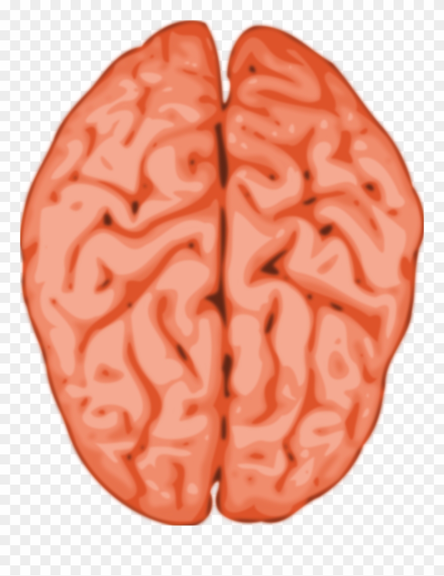 Big Image - I M With Stupid Heart And Brain Clipart