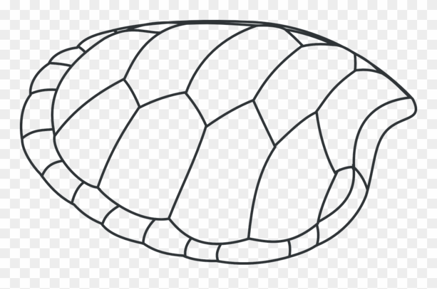 Turtle Drawing 4, Buy Clip Art - Turtle Clip Art - Png Download