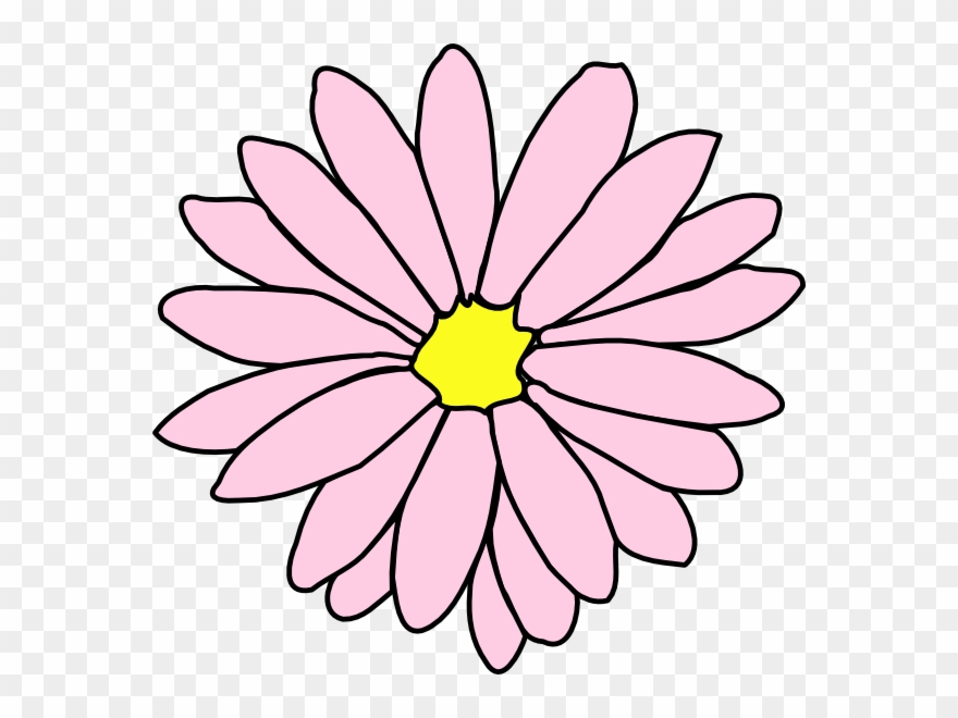 Pink Daisy Flower 3 Clip Art - Daisy Flower Clipart Black And White - Png Download