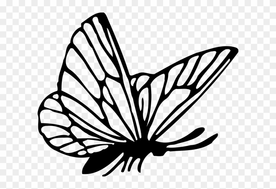 Free Vector Graphic - Butterfly Drawing Png Clipart