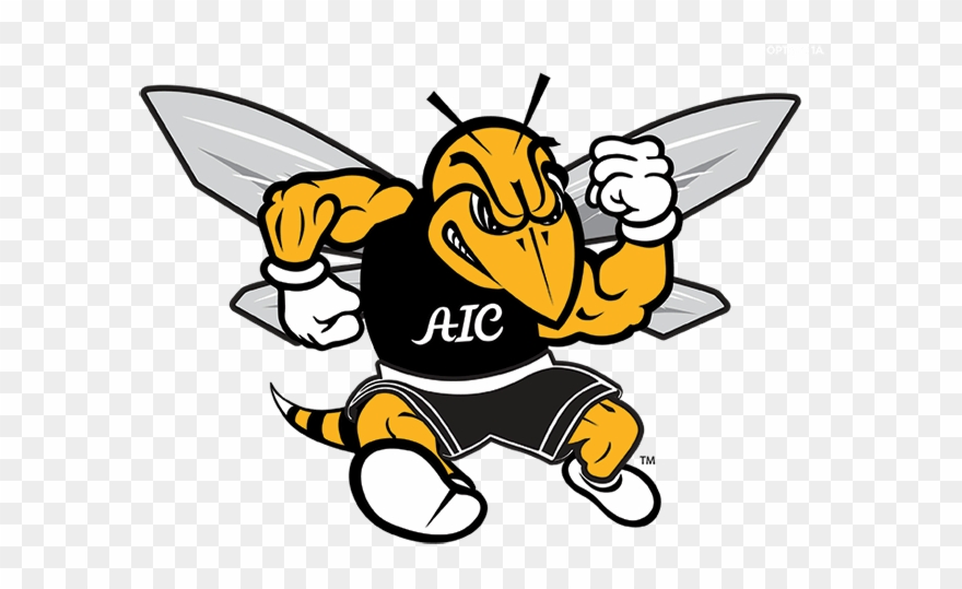 American International College Adds Women's Triathlon - Aic Yellow Jackets Logo Clipart