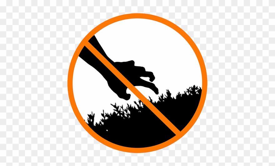 Quinci Baker Is A Recent Graduate Of The Cooper Union - Graphic Design Clipart