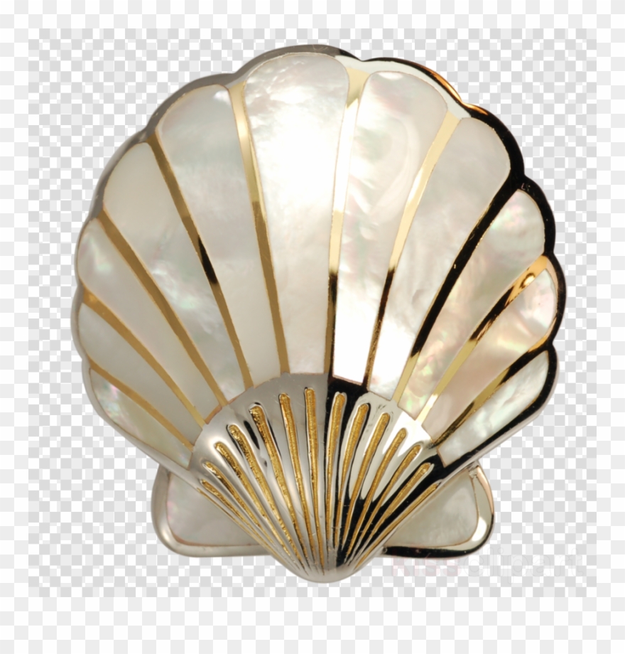 Download Mother Of Pearl Png Clipart Pearl Nacre Seashell - Hoffman Lake Mesh Cap Transparent Png