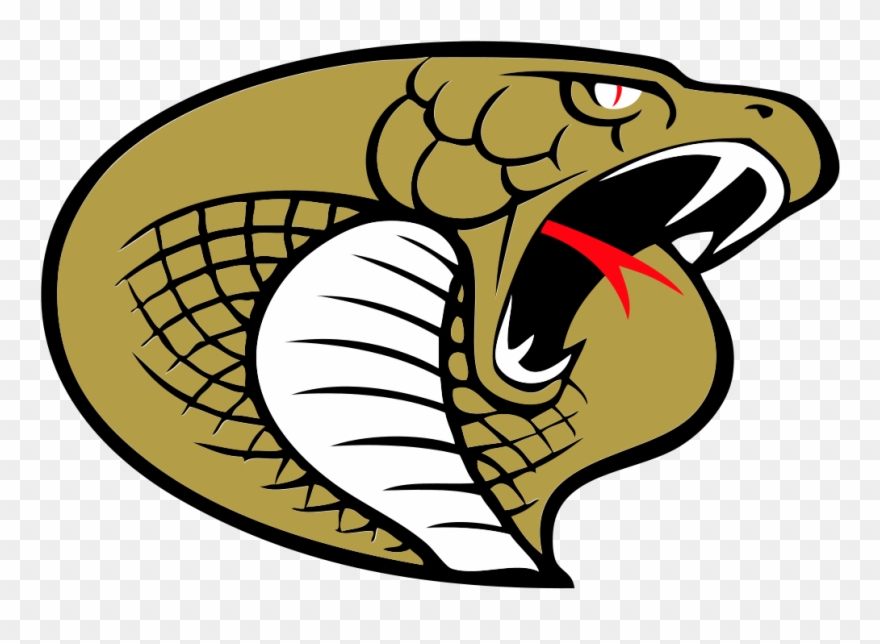 Carolina Cobras - South Miami Senior High Cobra Clipart