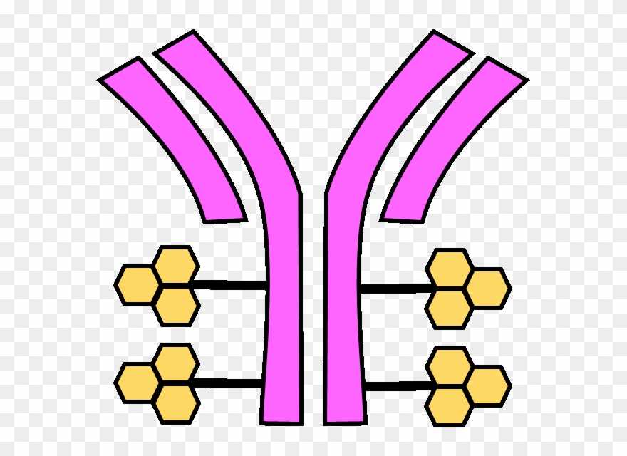 Breast Cancer Is One Of The Most Common Forms Of Cancer, Clipart