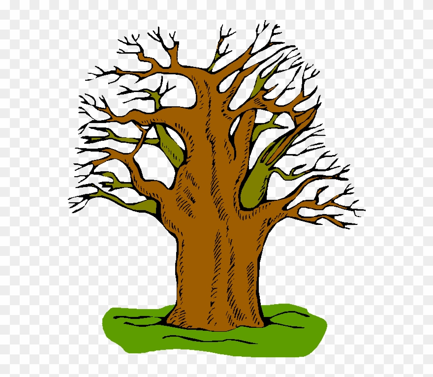 Great American Smokeout American Cancer Society - Tree Adjectives Clipart
