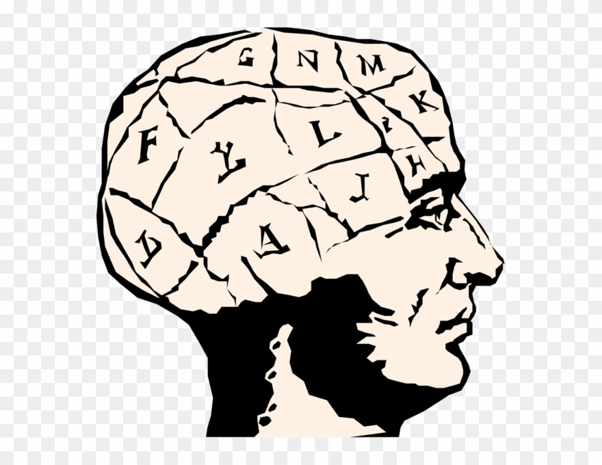 Brain-mind - Clipart
