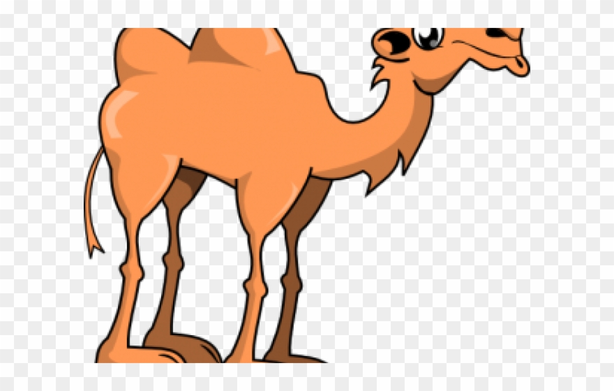 Camels Clipart Kawaii - Camel Clipart - Png Download