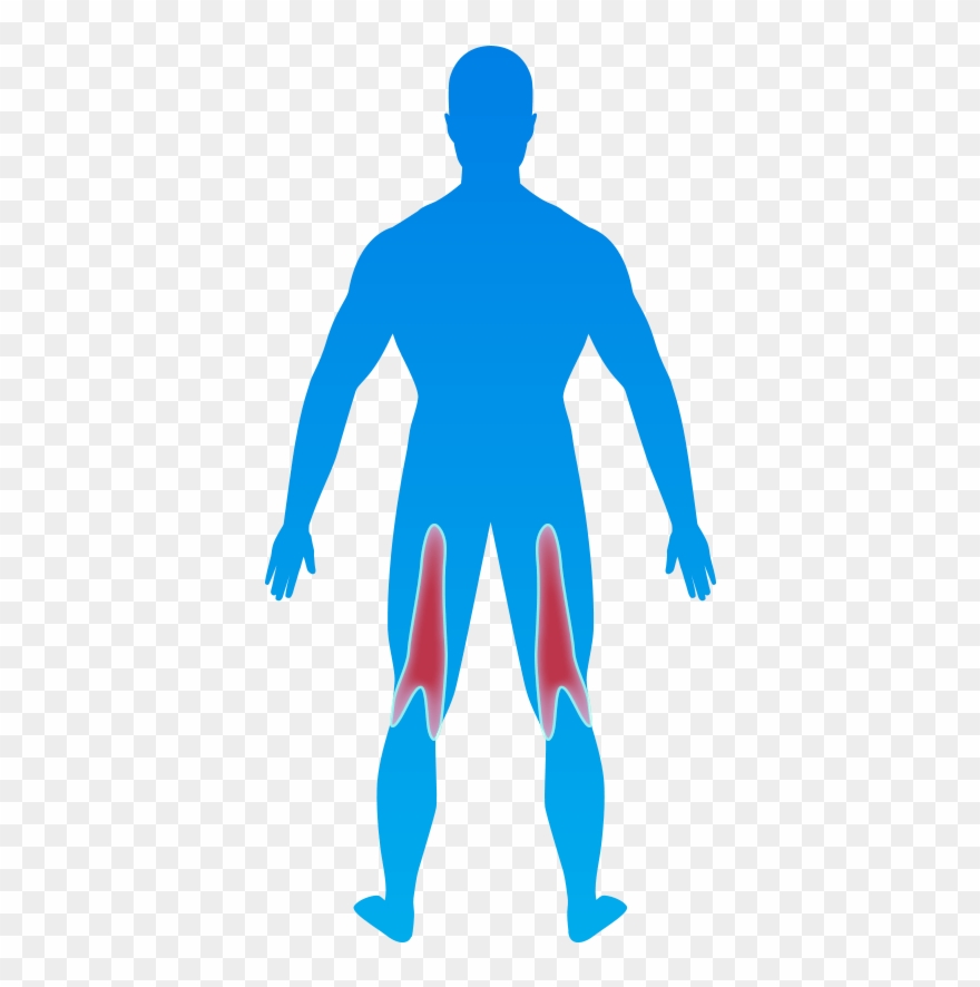 การฝึกด้วยท่า Kettle Bell Stiff-leg Deadlift เริ่มต้นจากการ Clipart