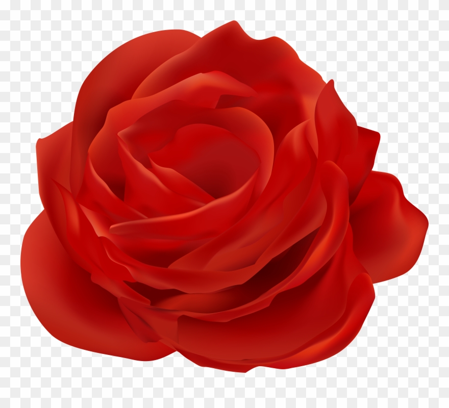 Petals Clipart - Png Download