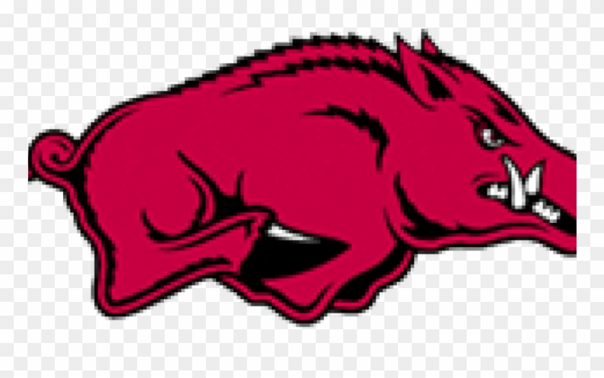 Arkansas Razorbacks Clipart