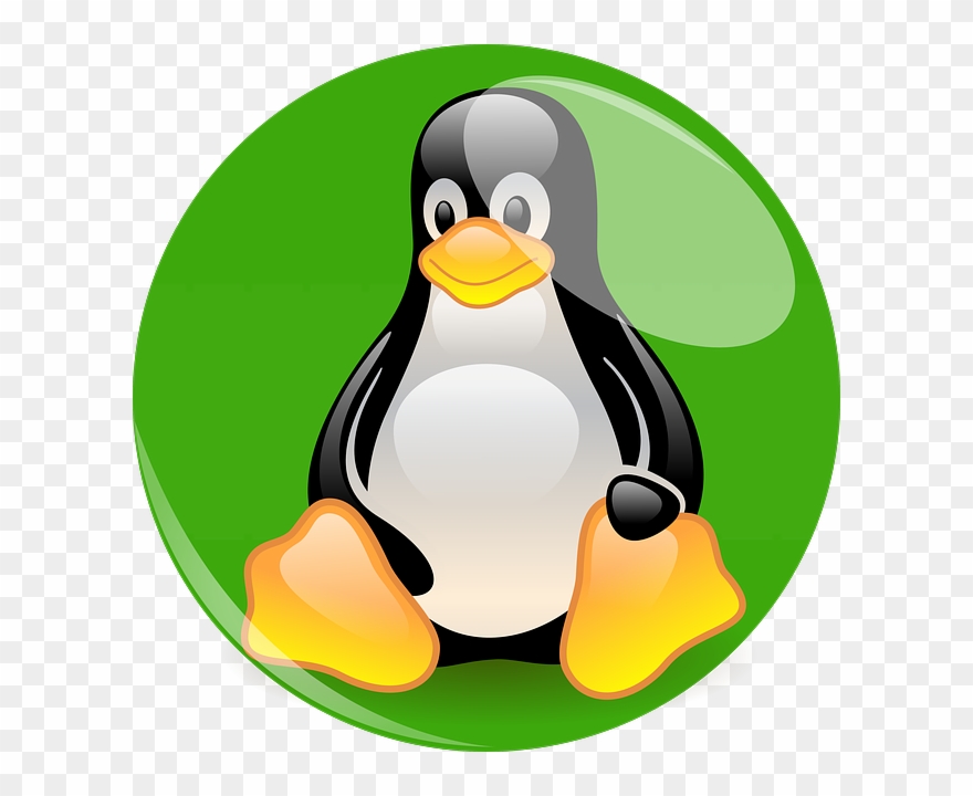 Penguin Cartoon Character - Tux Linux Clipart