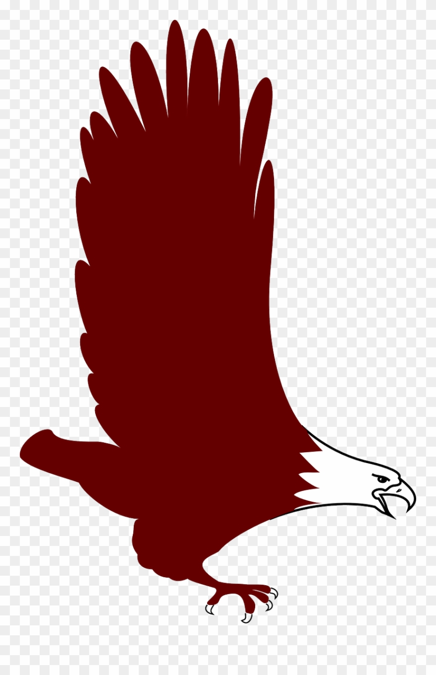 Eagle Bird Flying Wings Transparent Image - Red Eagle Clip Art - Png Download