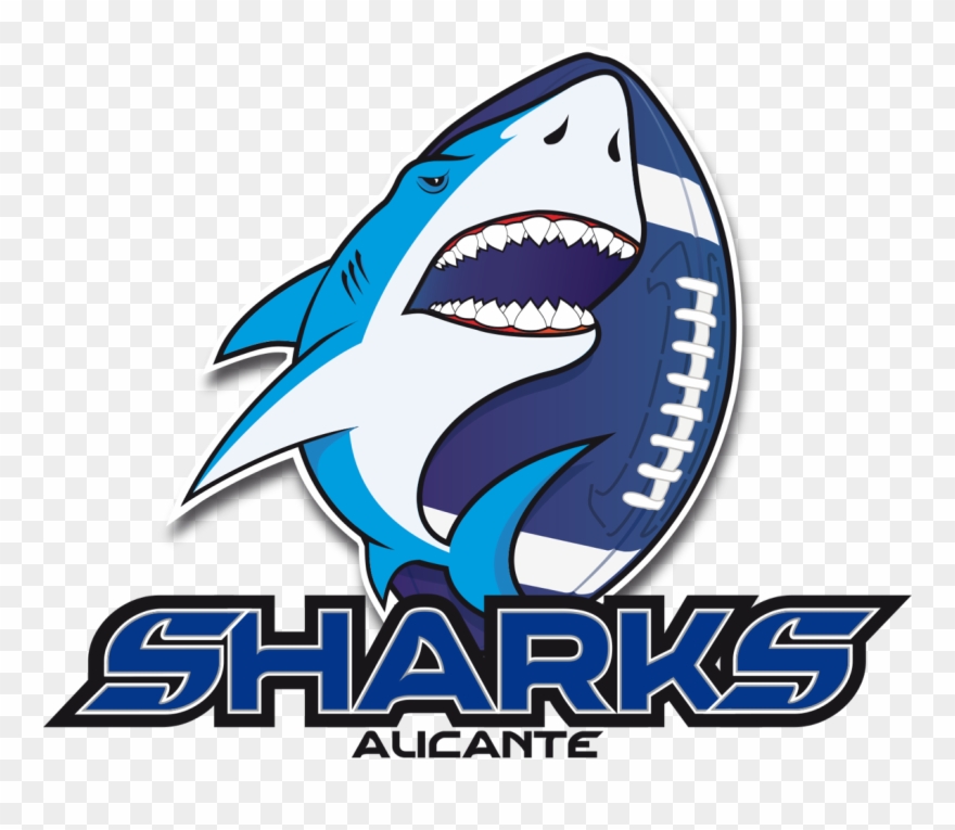Resultados - Alicante Sharks Clipart
