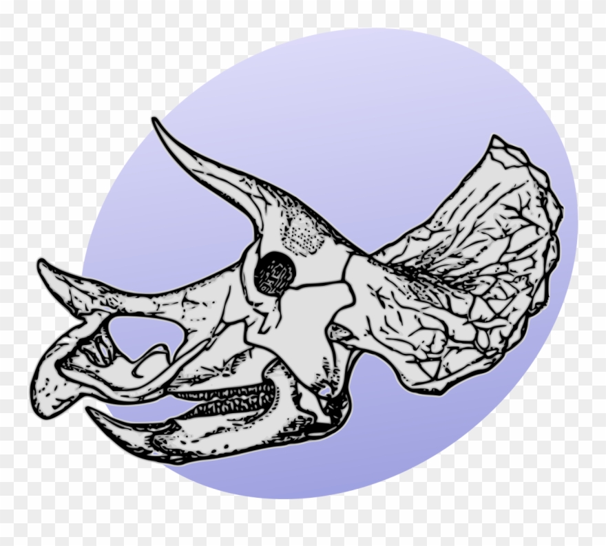 Triceratops Skeleton Clipart