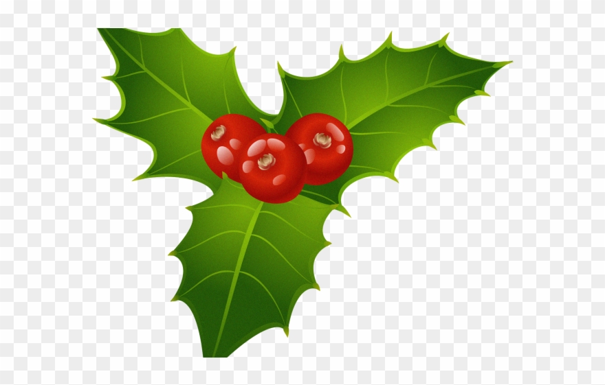 Berries Clipart Holly Leaf - Christmas Mistletoe Png Transparent Png
