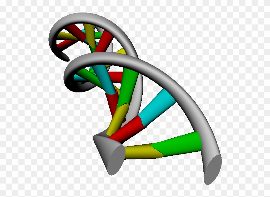 3d Dna Strand Rendering - Autodesk Maya Clipart