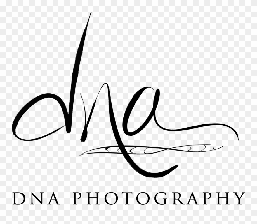 Dna Strand White Transparent - Dna Photography Logo Clipart