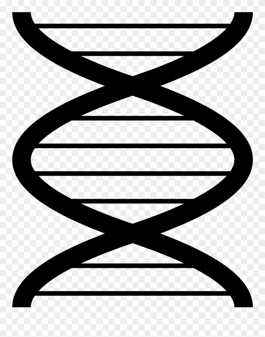 Open - Plain Dna Clipart