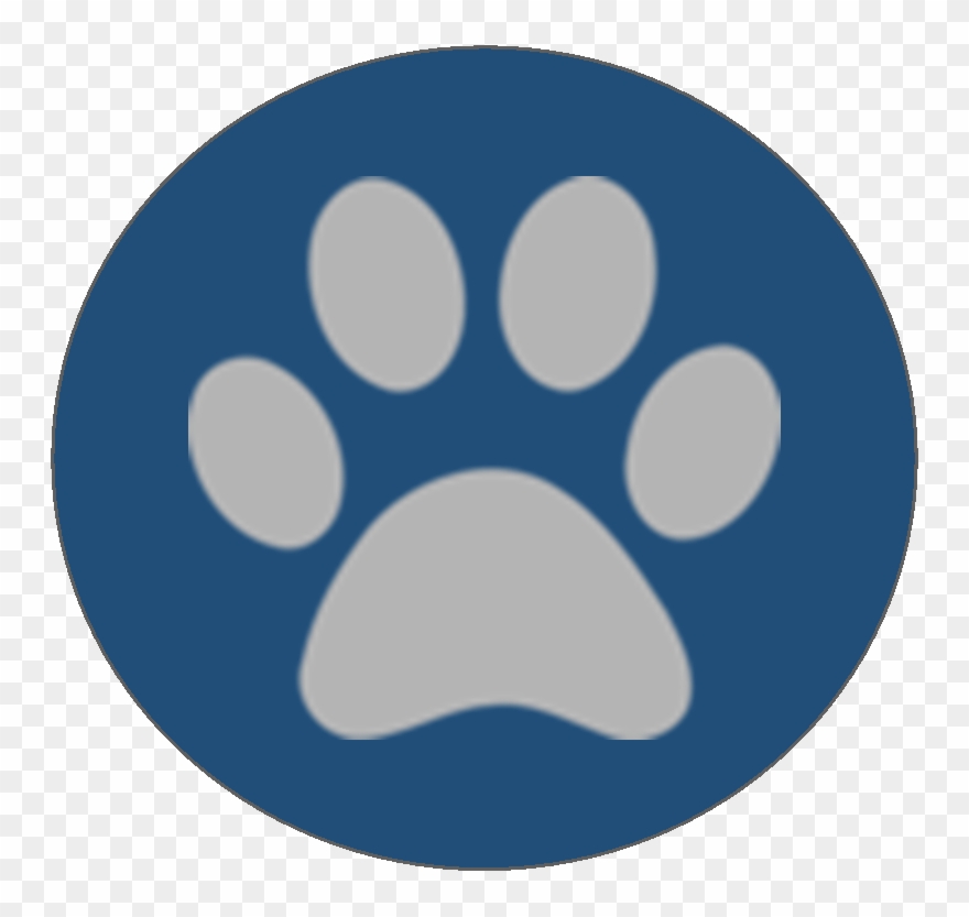 Pet Vaccines, Rabies Vaccine, Spay Neuter, Pet Surgery - Pajamas Clipart