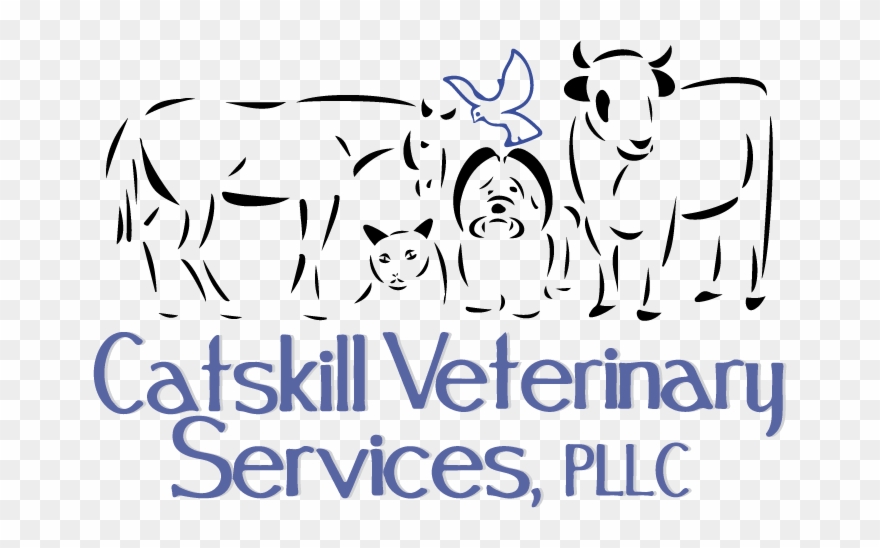 Survey Form - Catskill Veterinary Services, Pllc Clipart