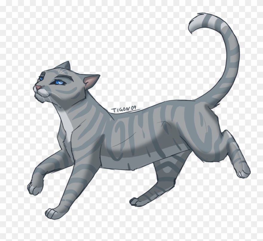 Grey Cat With Blue Eyes Clipart - Warrior Cats Silverstream - Png Download