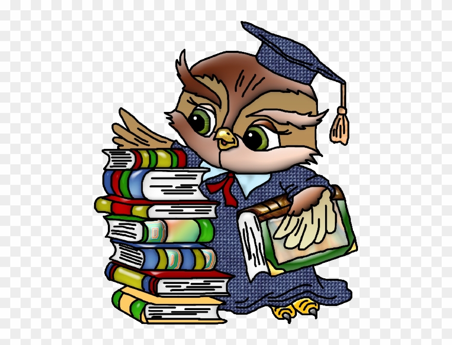 Owl School Teacher School Funny Images Png Owl Teaching - School Funny Clipart Transparent Png