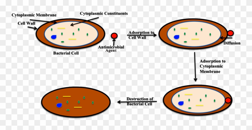 1200px E - Circle Clipart