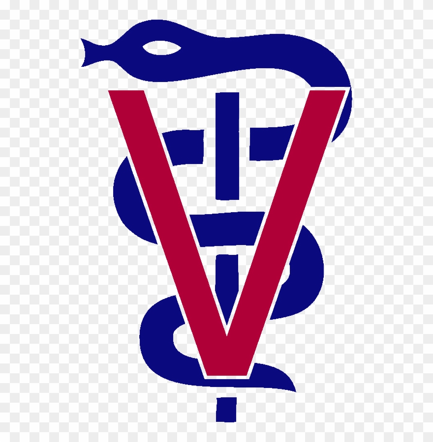 Veterinarian Symbol Cliparts 4, Buy Clip Art - Thumbnail - Png Download