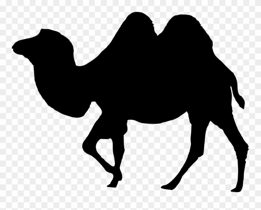 Desert Clipart Desert Caravan - Camel Silhouette Vector Png Transparent Png