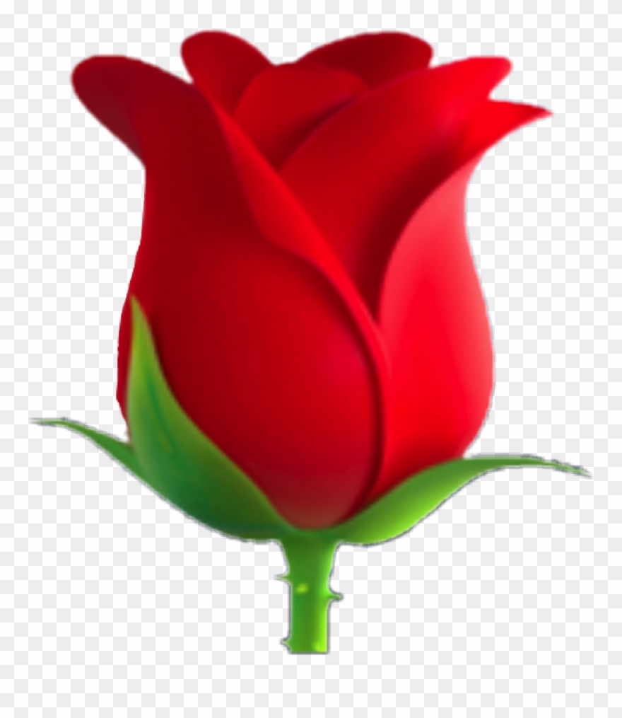 Clipart Rose Emoji - Rose Emoji - Png Download