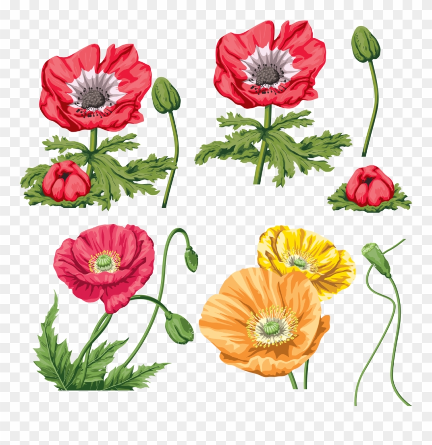 Маки И Сиреневые Цветы - Маки Clipart