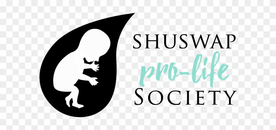 Shuswap Pro-life Society - Christmas Pregnant Maternity T-shirt Xmas Baby Funny Clipart