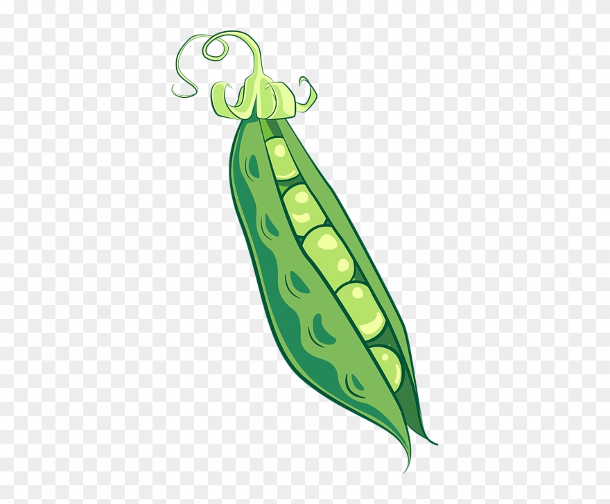 Green Pea Clipart
