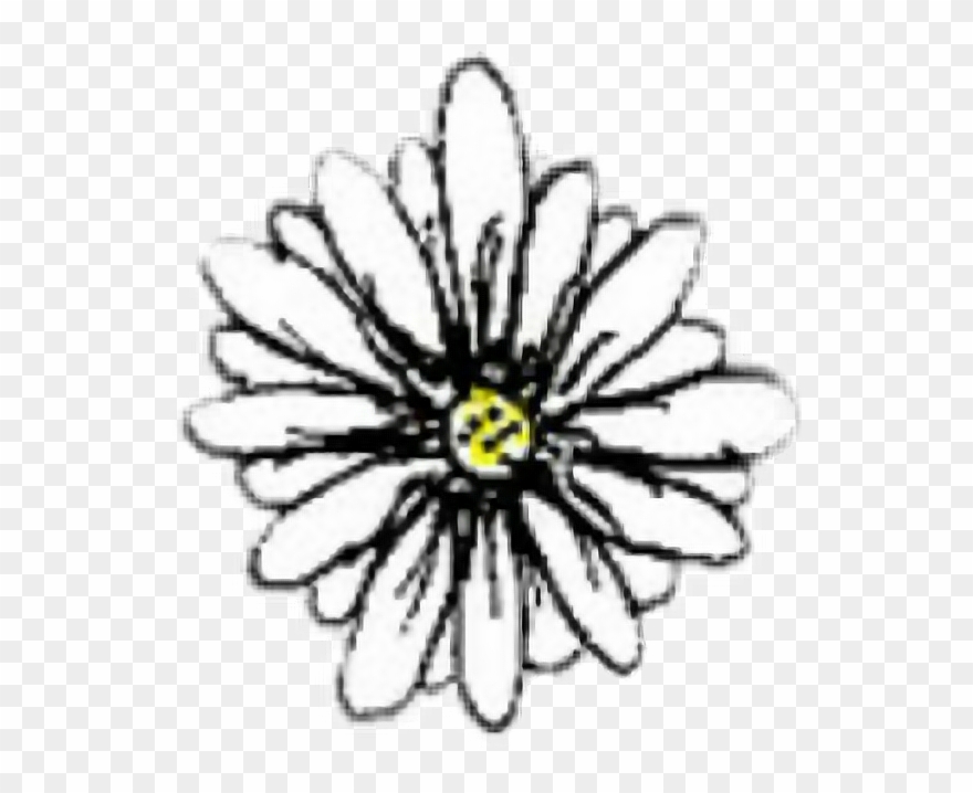 Black-eyed Susan Clipart