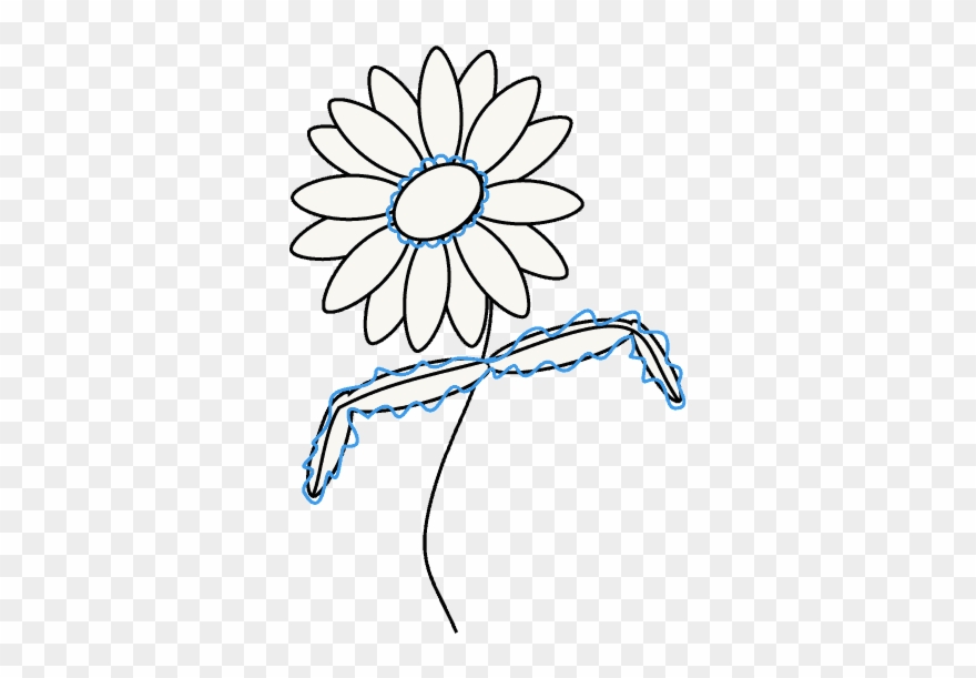 Clip Freeuse Download How To Draw A Daisy Easy Guides - Drawing - Png Download