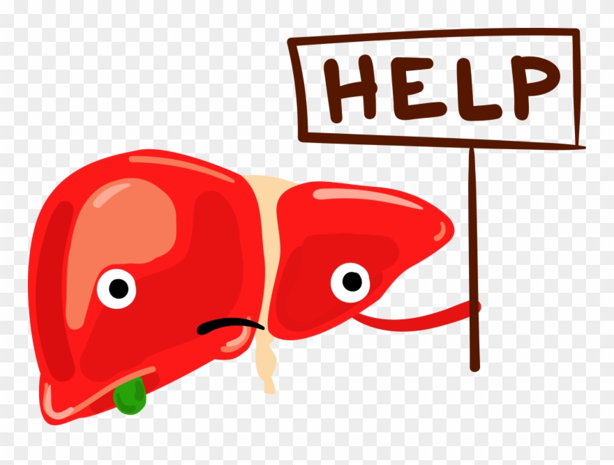 College Clipart