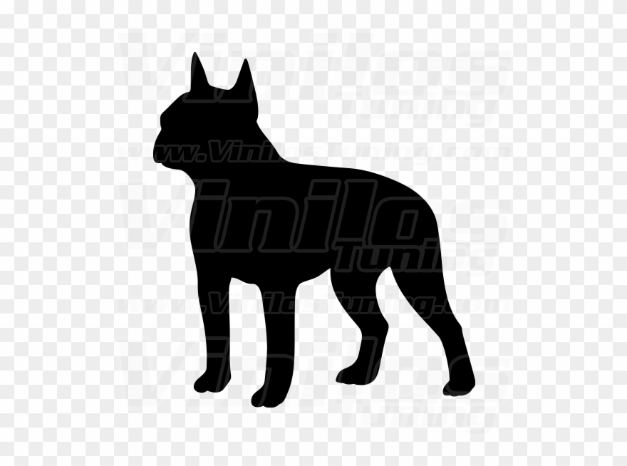 Dog - Boston Terrier Svg Free Clipart