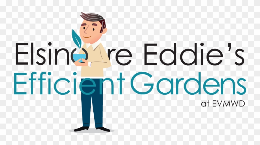 Elsinore Eddie's Efficient Gardens Elsinore Eddie's - Illustration Clipart
