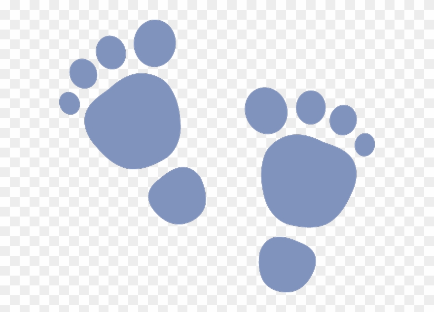 Baby Steps Transparent Image - Baby Feet Clip Art - Png Download