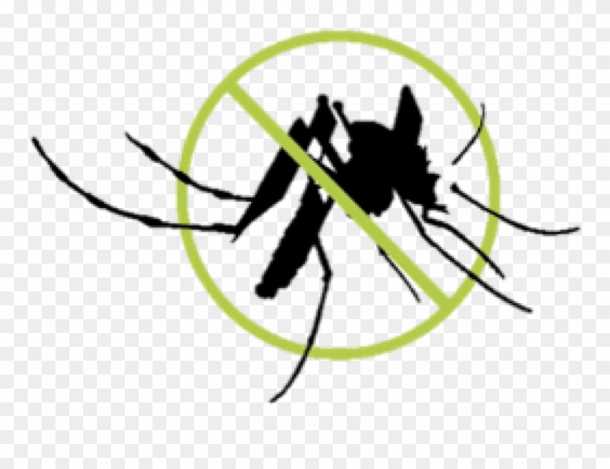 Natural Mosquito Repellent Roll-on Gel 50ml - Hyland's Clipart